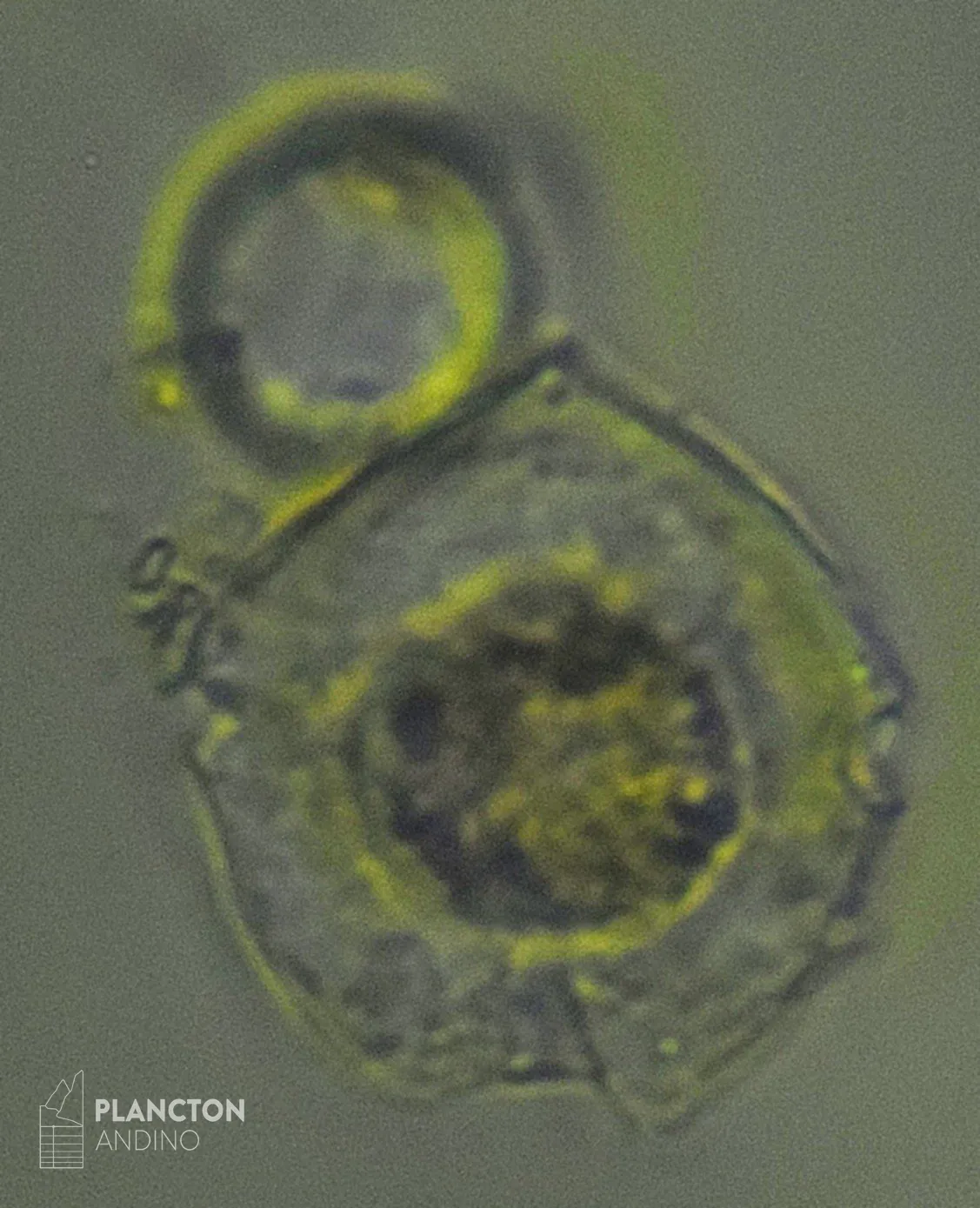 Imagen sin clasificar - Imagen 2