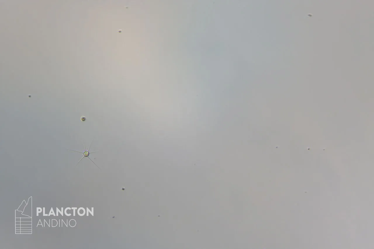 Imagen sin clasificar - Imagen 2