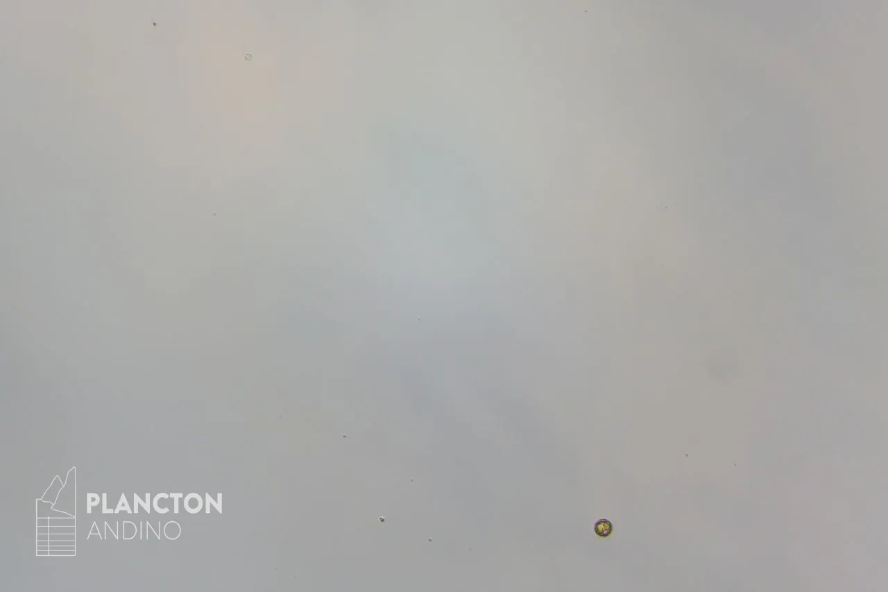 Imagen sin clasificar - Imagen 3